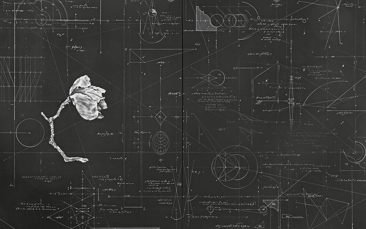 ENTRE LA CIENCIA Y EL ARTE