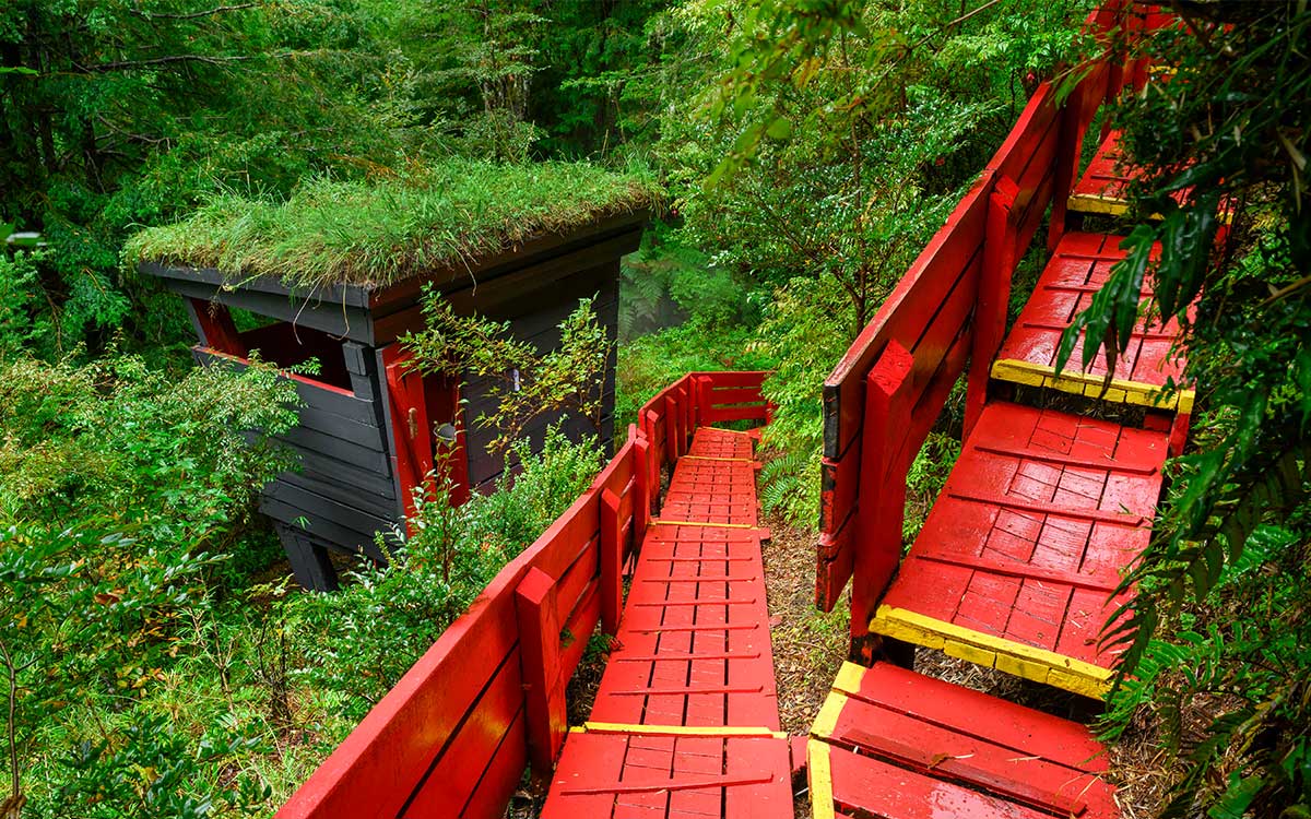 REFLEXIONES DE UN ARQUITECTO