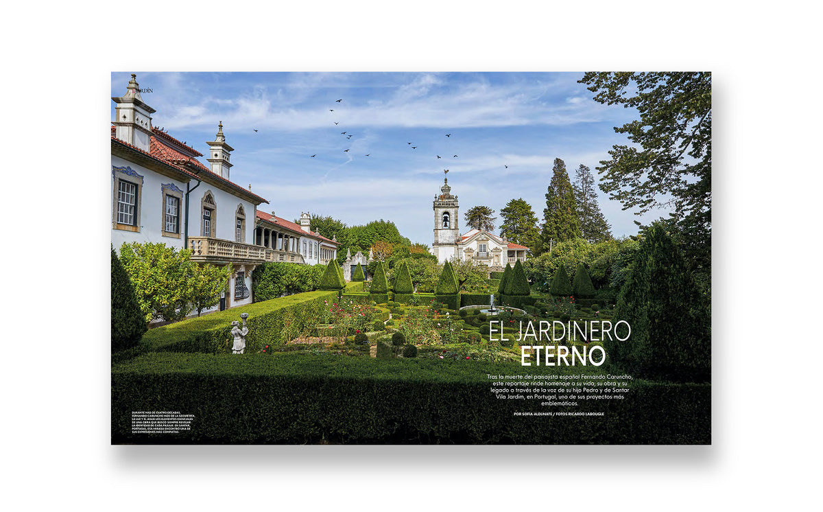 Revista Living 35